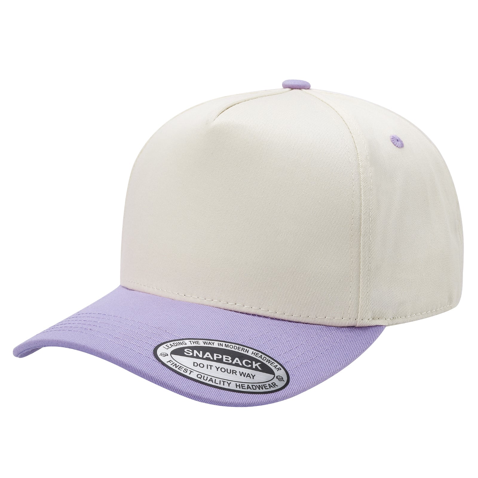 SNAPBACK BICOLOR BEIGE/LILA